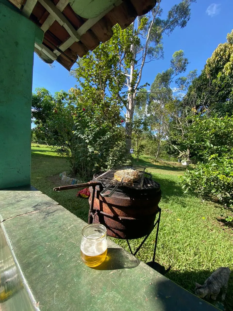 Peixe Assado na Churrasqueira