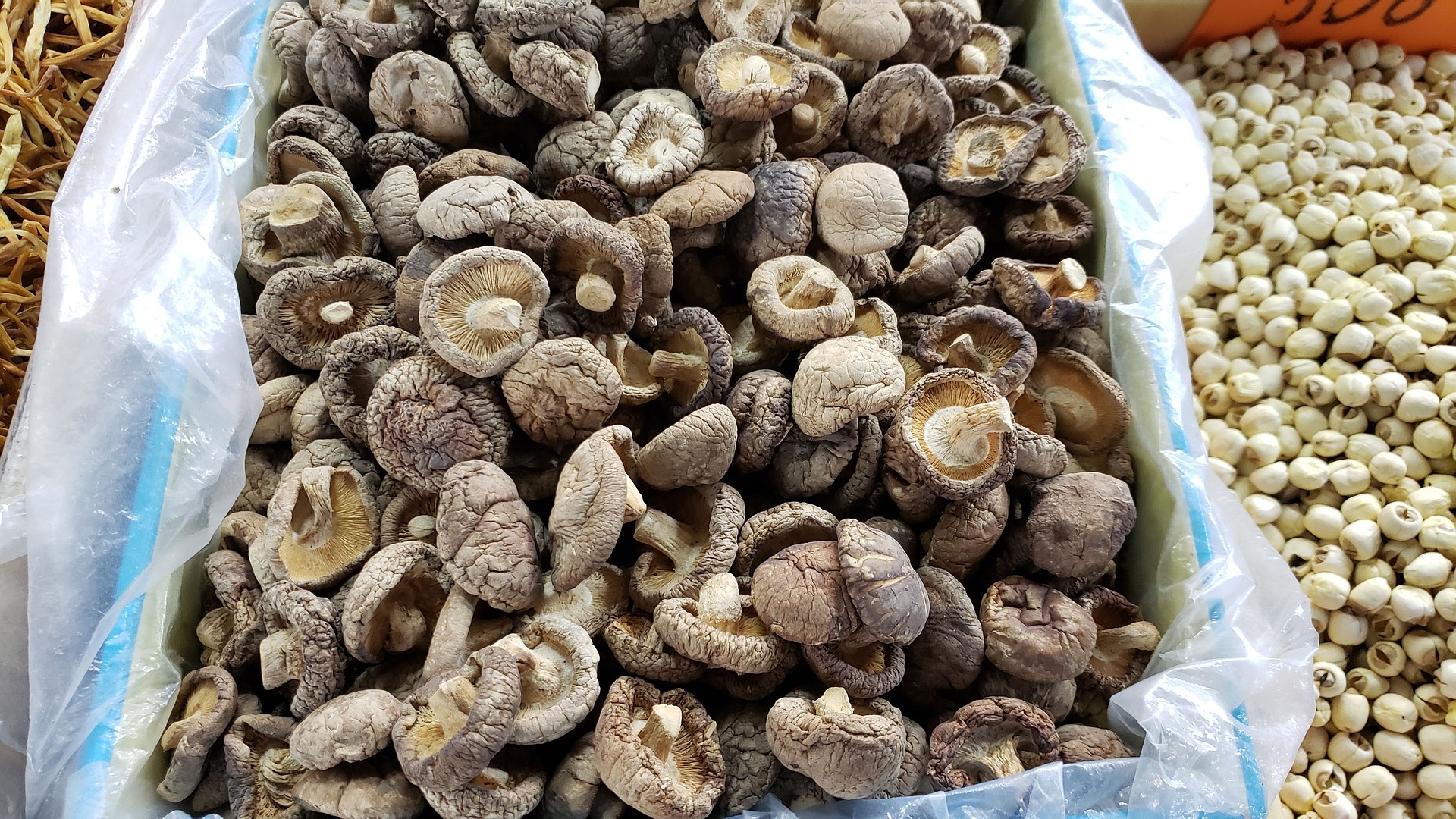encontrar receitas vegetarianas: Cogumelo Shiitake na Churrasqueira